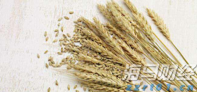 扳龙附凤网