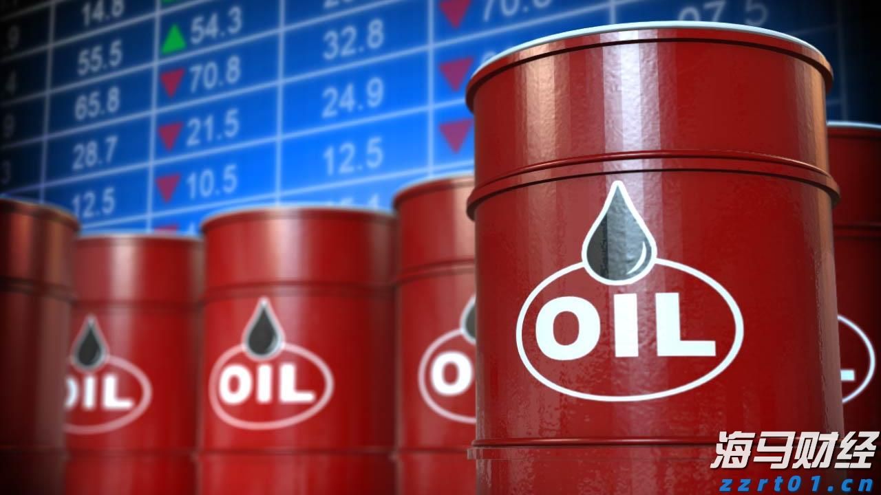 优服务强支撑  湛江市构建“近悦远来”人才生态