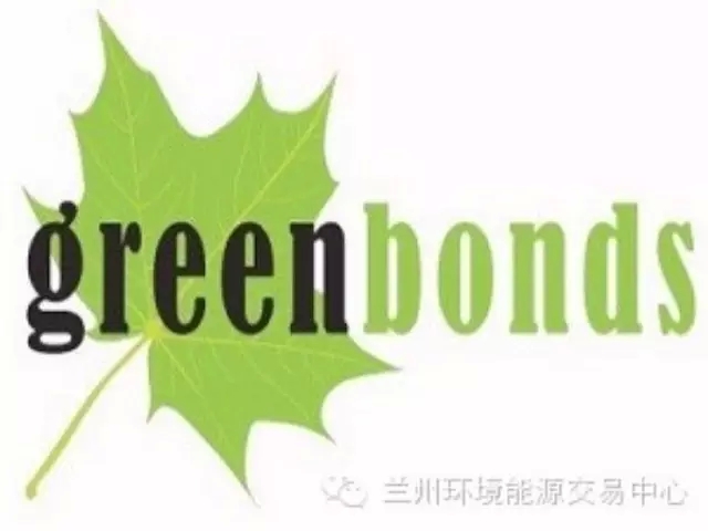 2025美股市场“黑马”现身！从退市危机到热门话题